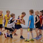 HippoNBA_20150523_12
